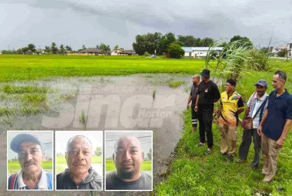 Abdul Rashid (dua kiri) bersama beberapa pesawah melihat sawah padi yang masih menunggu baja tambahan di Alor Mengkudu pada Jumaat. Gambar kecil dari kiri: Hozali, Ahmad Ridzuan dan Md Nor)