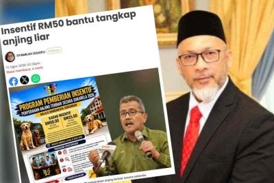 Mohd Faudzinaim dan laporan Sinar Harian mengenai tawaran MBS kepada individu yang menyerahkan anjing terbiar secara sukarela menerusi Program Pemberian Insentif Penyerahan Anjing Terbiar Secara Sukarela 2026.
