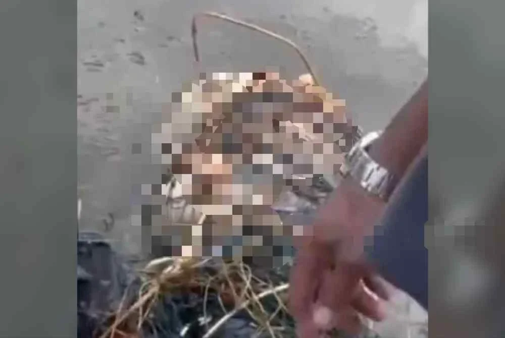 3 Ogos lalu, satu mayat yang dibungkus dan dililit dengan jaring ditemui di Sungai Tanjung Sembrong, Parit Raja Batu Pahat jam 12.30 tengahari oleh orang awam.