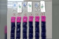 Plastik mengandungi pil kuda yang ditemui oleh polis. Foto PDRM
