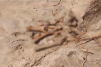 Penemuan tulang di Pantai Batu Ferringhi menggemparkan orang awam yang berada di kawasan berkenaan.