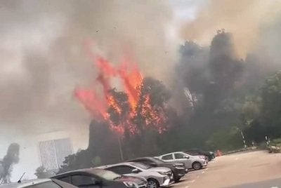Tulaf foto kebakaran hutan bukit seluas kira-kira 2.8 hektar berhampiran Masjid Negeri Sultan Salahuddin Abdul Aziz Shah pada Isnin.