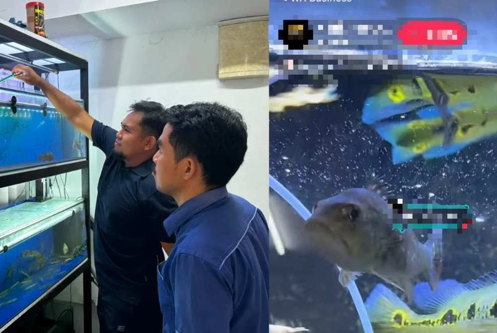 Kegiatan dikesan menerusi promosi di platform Tik Tok.