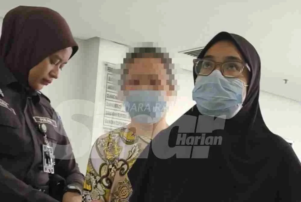 Peguam yang mewakili ibu Allahyarham Zayn Rayyan Abdul Matin memberitahu Mahkamah Tinggi di sini pada Rabu bahawa, Ismanira Abdul Manaf sepatutnya didenda dan bukannya dipenjara lima tahun kerana mengabaikan kanak-kanak autisme itu, tiga tahun lalu.