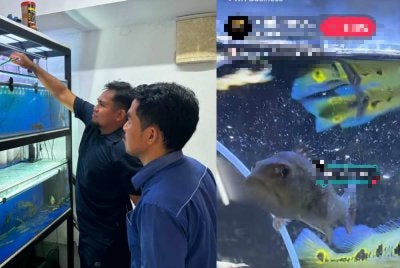Kegiatan dikesan menerusi promosi di platform Tik Tok.