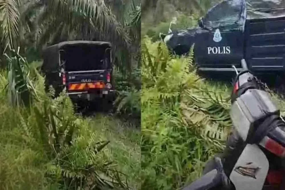 Gambar tular memaparkan polis melaksanakan siasatan di lokasi kejadian kes bunuh di kebun kelapa sawit di Kampung Sungai Kelambu, Banting pada 9 Ogos lalu.