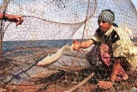 Hampir 12 nelayan terkorban manakala kira-kira 17 yang lain di wilayah Sistan-Baluchistan dilaporkan hilang sepanjang tempoh pertempuran itu.