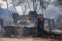 Sebanyak 36 kebakaran berlaku di seluruh Greece dalam tempoh 24 jam pada akhir minggu lalu. Foto: Agensi