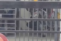 Rakaman video berdurasi dua minit 19 saat mendapati seorang lelaki dilihat memukul seekor anak kucing beberapa kali menggunakan sebatang penyapu jenis aluminium.