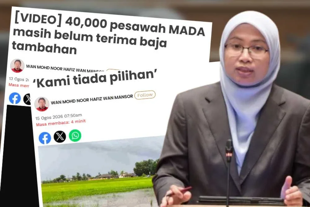 Selain ganti rugi, Mardhiyyah menegaskan, kerajaan perlu memastikan bekalan baja dihantar segera kepada pesawah yang terjejas.