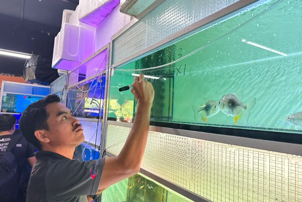 Antara ikan larangan yang dirampas DOF menerusi serbuan di sebuah premis ikan hiasan di Petaling Jaya pada Khamis. Foto DOF