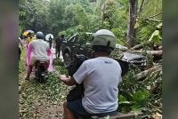 Dua warga emas cedera selepas kenderaan mereka dihempap pokok tumbang di Jalan Chamang, Bentong pada 14 Ogos lalu. Foto: Polis Bentong 