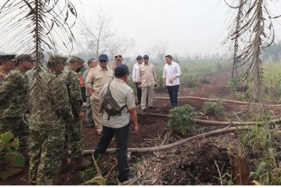Presiden Prabowo meninjau lokasi kebakaran hutan dan tanah di Desa Limbung, Kecamatan Sungai Raya, Kubu Raya, Kalimantan Barat pada Sabtu. Foto Sekretariat Kabinet Indonesia
