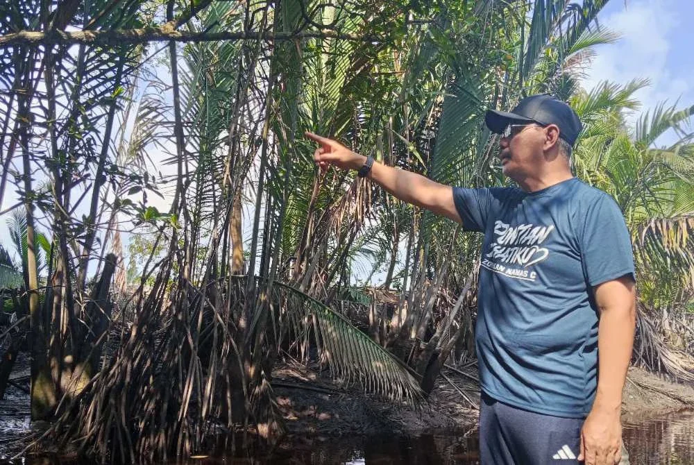 Md Israk melihat kawasan penambakan sisa binaan dari Singapura, menjejaskan pendapatan nelayan di Kampung Simpang Kiri, Pontian.