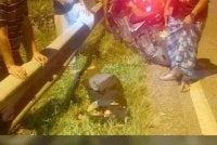 Seorang remaja perempuan berusia 15 tahun yang dipercayai lari dari rumah ditemukan pengsan di tepi Jalan Kemuning, Machang pada Khamis.