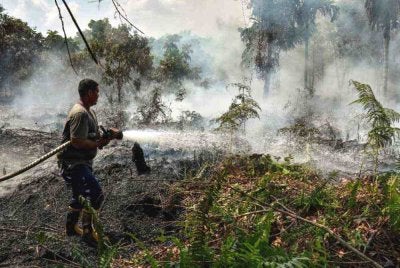 Indonesia mengambil beberapa langkah pencegahan termasuk membasahkan kawasan tanah gambut dan melaksanakan operasi pengubahsuaian cuaca bagi membantu mengawal kebakaran. Foto AFP
