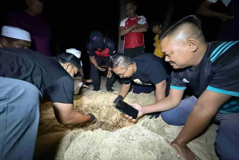 Sarang digali bagi memastikan tiada anak penyu yang tertinggal dan mendapati sebahagian telur tidak menetas. Foto Jabatan Perikanan Negeri Kelantan