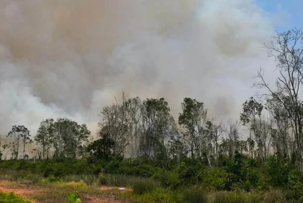 Sebuah ladang seluas 29 hektar di Jalan Bypass Punggai-Sebana Cove, Kota Tinggi terbakar pada Isnin.