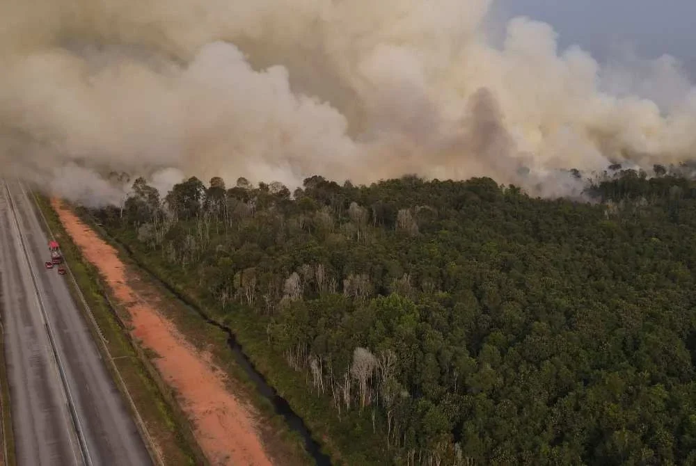 Asap tebal menyelubungi sekitar kawasan Pengerang berikutan ladang di jalan bypass Punggai-Sebana Cove terbakar sejak pagi tadi.