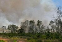Sebuah ladang seluas 29 hektar di Jalan Bypass Punggai-Sebana Cove, Kota Tinggi terbakar pada Isnin.
