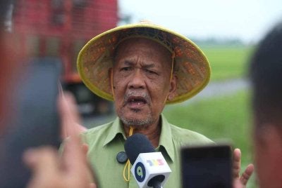 Allahyarham Che Ani ketika ditemui wartawan pada 13 Ogos lalu di Pida 5.