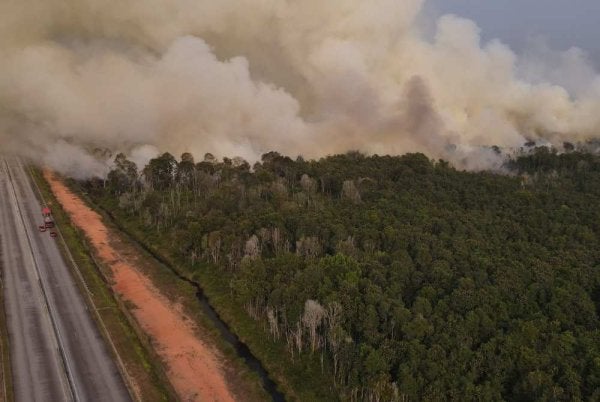 Asap tebal menyelubungi sekitar kawasan Pengerang berikutan ladang di jalan bypass Punggai-Sebana Cove terbakar sejak pagi tadi.
