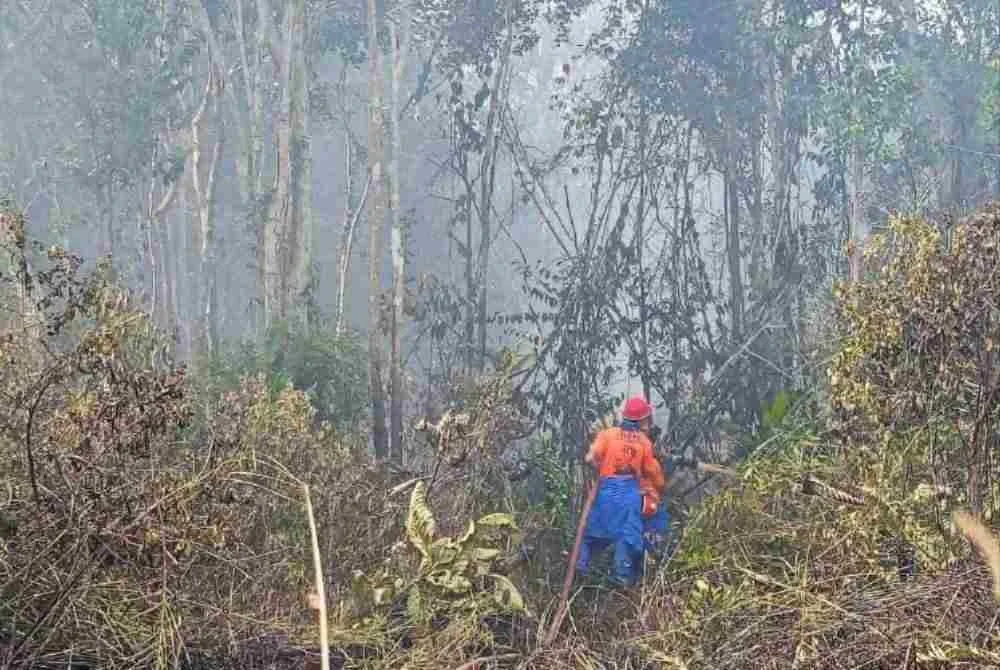 Sumber air terhad antara cabaran utama anggota bomba memadam kebakaran hutan paya gambut seluas 51.4 hektar di Jalan Bypass Sebana Cove-Punggai, Pengerang.