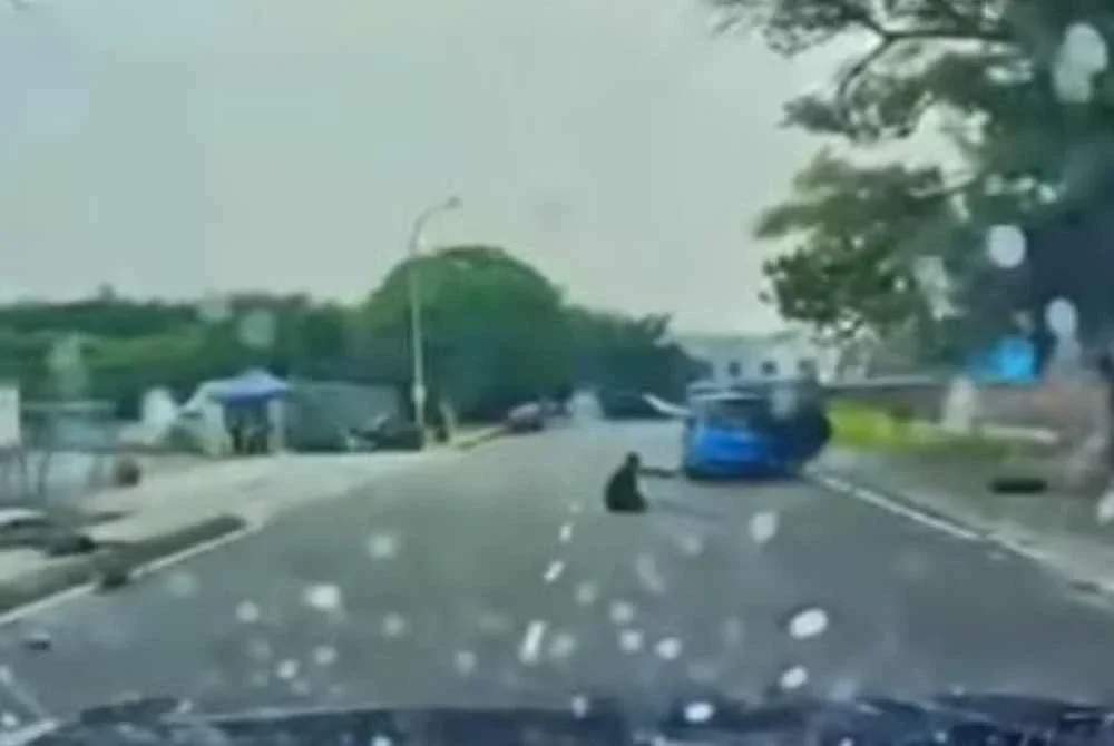Rakaman dipercayai daripada video papan pemuka sebuah kenderaan yang melalui lokasi kejadian pada Selasa.