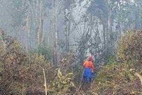 Sumber air terhad antara cabaran utama anggota bomba memadam kebakaran hutan paya gambut seluas 51.4 hektar di Jalan Bypass Sebana Cove-Punggai, Pengerang.