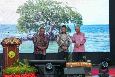 Raja Muda Kedah berkenaan merasmikan Majlis Perasmian Hari Konservasi Ekosistem Hutan Paya Laut Antarabangsa Peringkat Kebangsaan Tahun 2026 di Alor Setar pada malam Isnin.