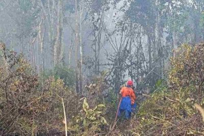 Sumber air terhad antara cabaran utama anggota bomba memadam kebakaran hutan paya gambut seluas 51.4 hektar di Jalan Bypass Sebana Cove-Punggai, Pengerang.