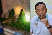 Abdul Kadir berkata Perhilitan melaksanakan pemantauan keadaan kecederaan gajah jantan dewasa dikenali Sulong dengan menggunakan dron - Foto: Perhilitan