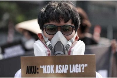 Salah seorang penunjuk perasaan memakai topeng muka ketika membantah kebakaran tidak terkawal kawasan pertanian dan hutan. - Foto Agensi