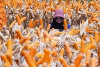 MAHA 2026 bukan sahaja mengetengahkan hasil pertanian dan produk IKS malah membawa pengunjung melihat sendiri perkembangan teknologi serta inovasi dalam sektor agro. Foto: MOHD HALIM ABDUL WAHID