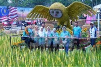 Laman Padi membawa pengalaman sebenar pengunjung MAHA 2026 terhadap hasil produk beras negara. Foto: MOHD HALIM ABDUL WAHID