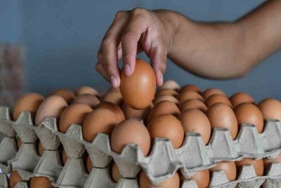 Harga telur ayam meningkat selepas subsidi komoditi itu ditamatkan pada 1 Ogos lalu. Foto hiasan 