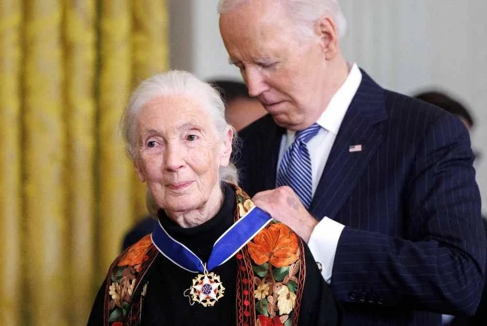 Goodall menerima Pingat Kebebasan Presiden daripada Presiden Joe Biden dalam satu majlis di Rumah Putih, Washington, DC. FOTO: AFP