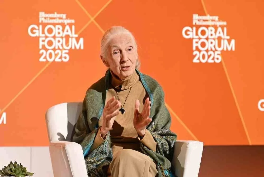 Goodall berucap pada Forum Global Bloomberg Philanthropies 2025 di Hotel The Plaza, New York. FOTO: AFP