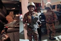  Tindakan seekor kucing yang dipercayai menekan butang kunci pintu menyebabkan haiwan itu terperangkap di dalam sebuah kereta sebelum pemiliknya mendapatkan bantuan bomba, semalam.