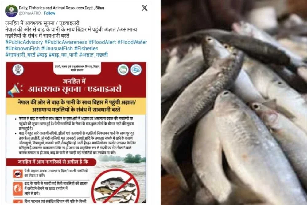 Jabatan Tenusu, Perikanan dan Sumber Haiwan Bihar mengeluarkan amaran kepada penduduk tidak makan ikan mengalir dari air banjir.