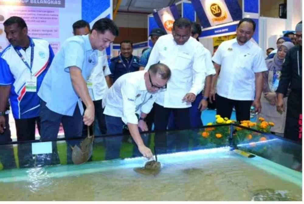 Foong Hin menyentuh belangkas yang dipamerkan di Pavilion MySE.