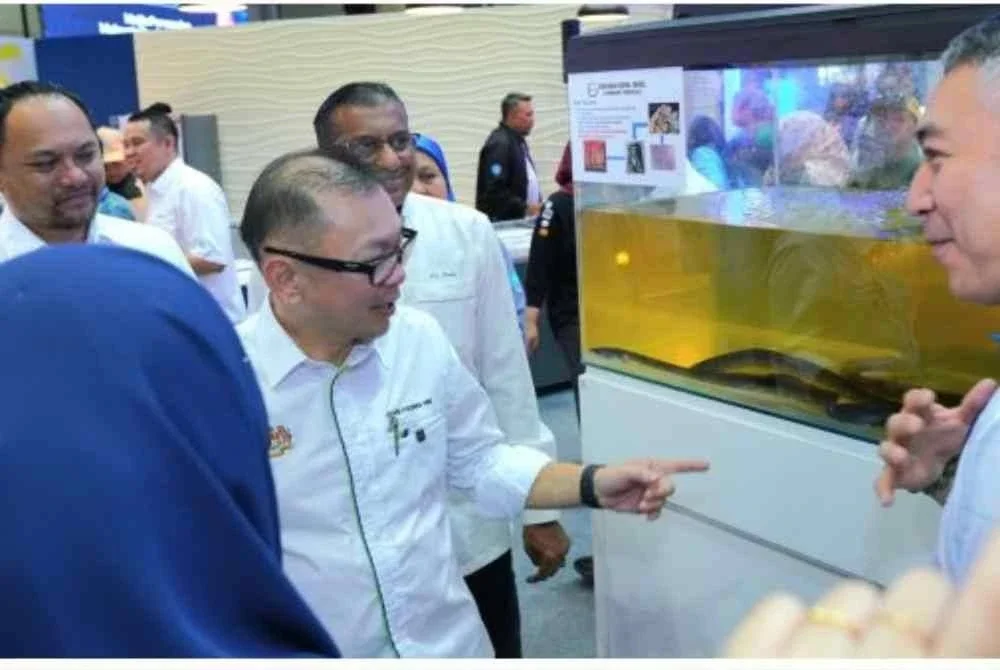 Belut menjadi antara tarikan terbaharu di Pavilion MySE.