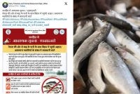 Jabatan Tenusu, Perikanan dan Sumber Haiwan Bihar mengeluarkan amaran kepada penduduk tidak makan ikan mengalir dari air banjir.