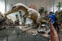 Pelajar mengunjungi Muzium Dinosaur Phu Wiang di Khon Kaen, wilayah yang memiliki antara penemuan fosil dinosaur terkaya di negara itu. Foto: AFP