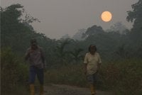 Kualiti udara di Serian terus berada pada tahap bahaya. - FOTO: Bernama