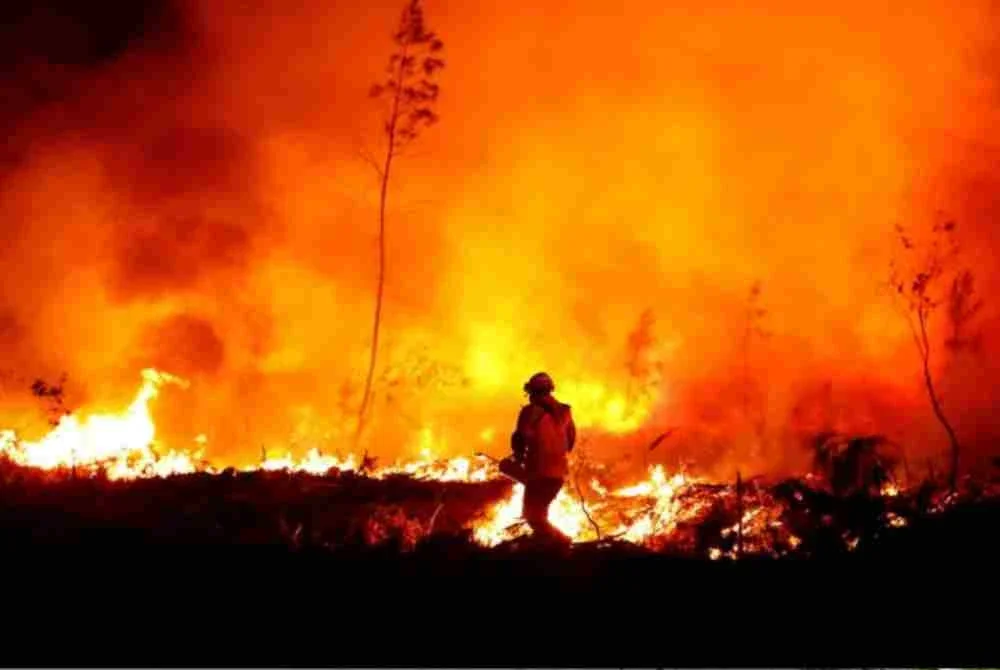 Keadaan cuaca ekstrem itu turut menyebabkan kebakaran hutan meluas dan sukar dikawal.