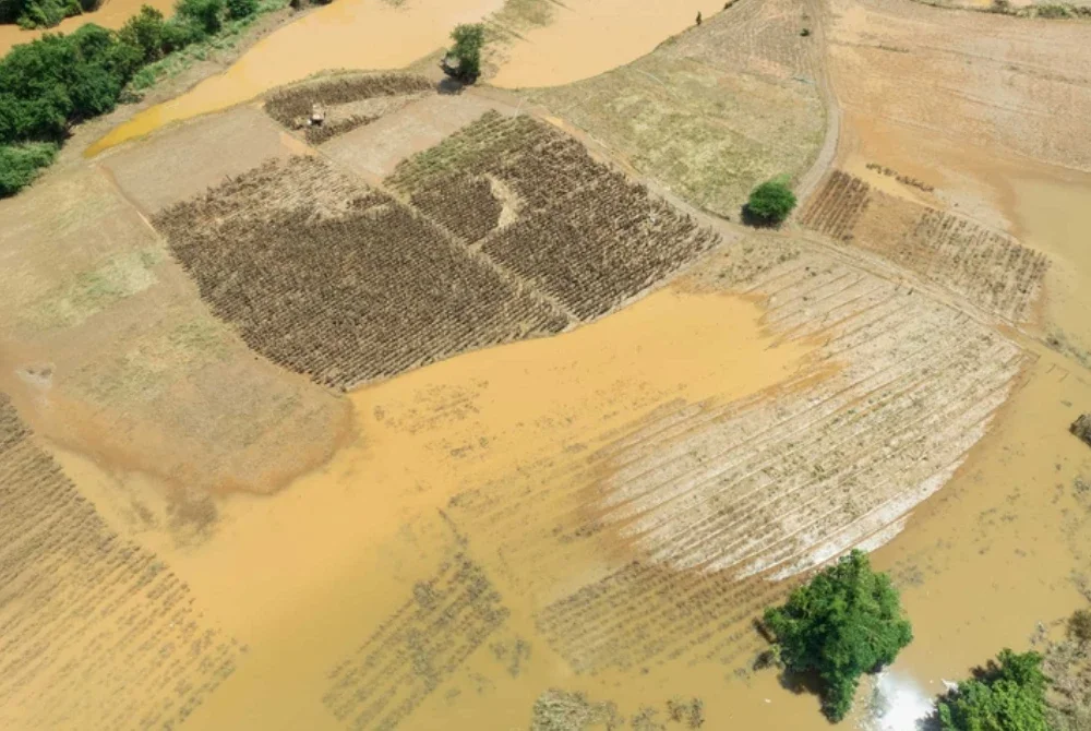 Ancaman 'super' El Nino boleh menyebabkan harga makanan melonjak sehingga 2028.