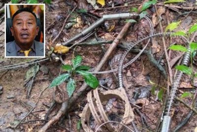Antara jenis jerat yang dimusnahkan menerusi tindakan OBK baru-baru ini. Gambar kecil: Abdul Kadir - Foto Perhilitan