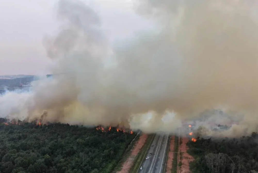 Kawasan seluas kira-kira 17 hektar yang terbakar di Bukit Pelali, Pengerang. Foto JBPM Johor