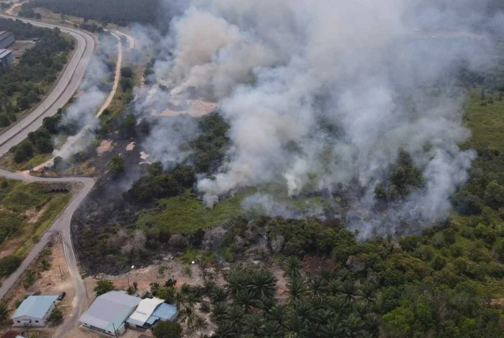 Keadaan kebun tanah gambut yang terbakar seluas kira-kira 10 hektar, dengan operasi pemadaman masih dijalankan. Foto JBPM Johor